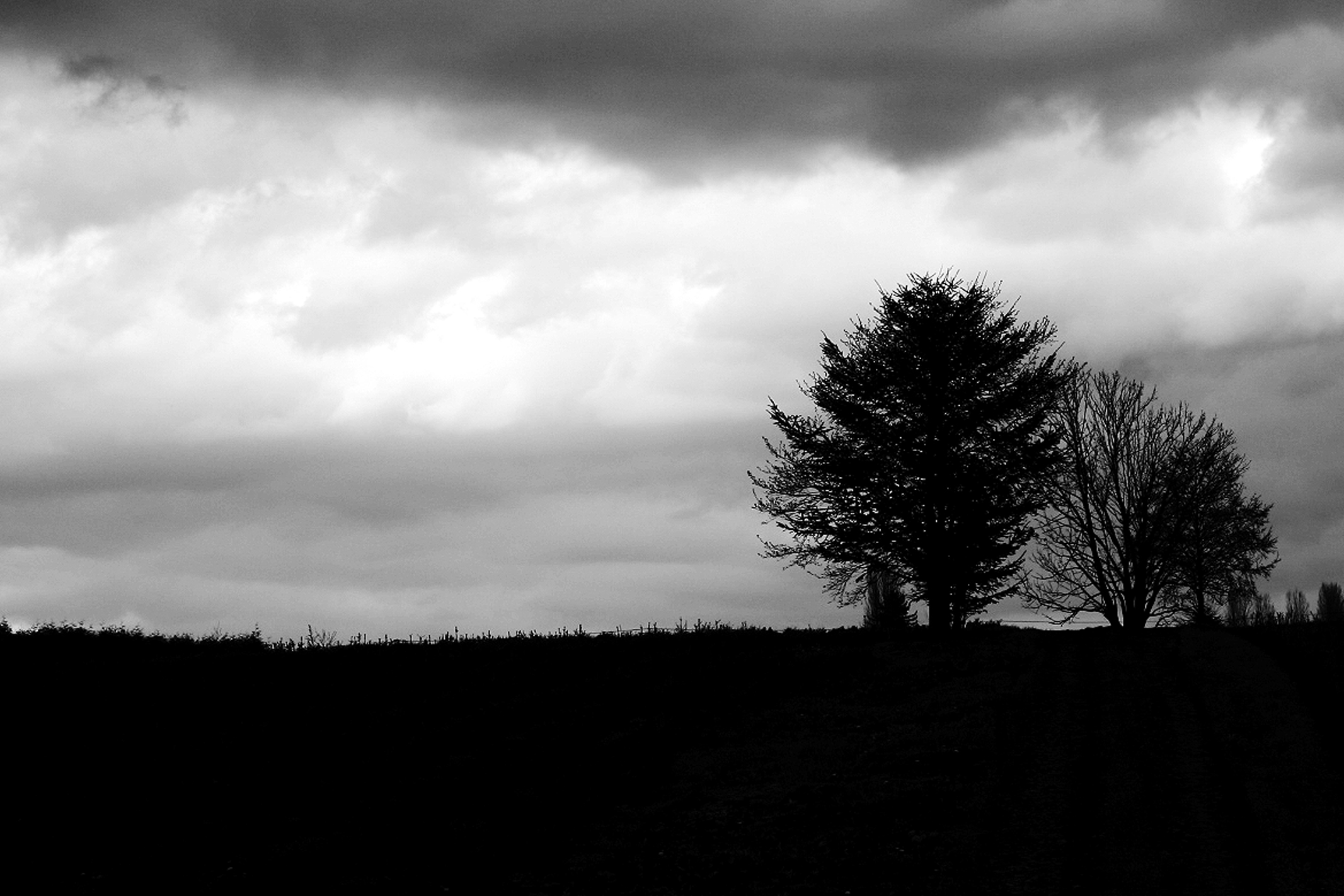 A quiet landscape in Hokkaido